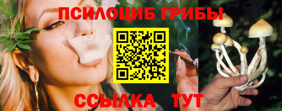 Псилоцибиновые грибы мицелий Буйнакск
